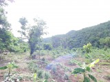 BELVEDERE FERRY, Kingston / St. Andrew, Jamaica - Commercial/farm land for Sale